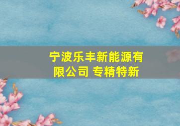 宁波乐丰新能源有限公司 专精特新